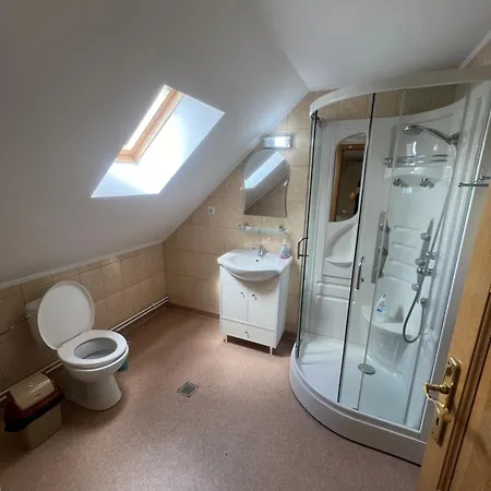 Denisa Guest house Sebes (Alba)
